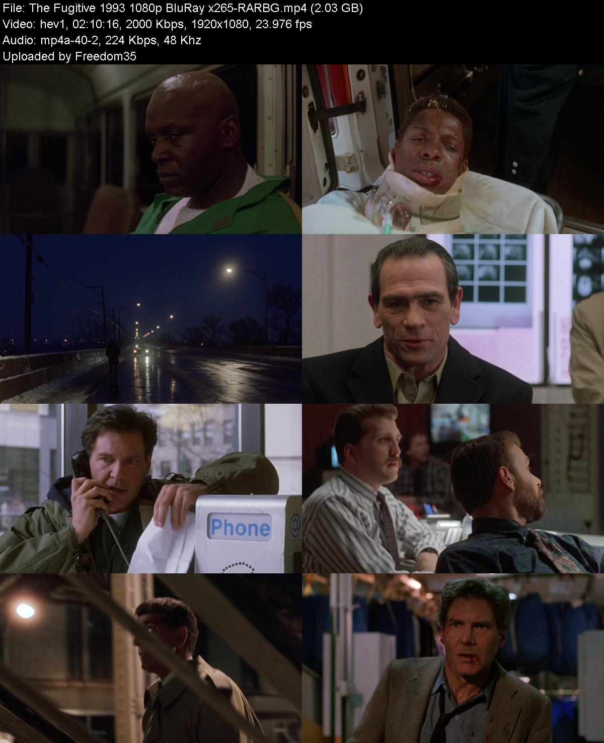 The-Fugitive-1993-1080p-Blu-Ray-x265-RAR
