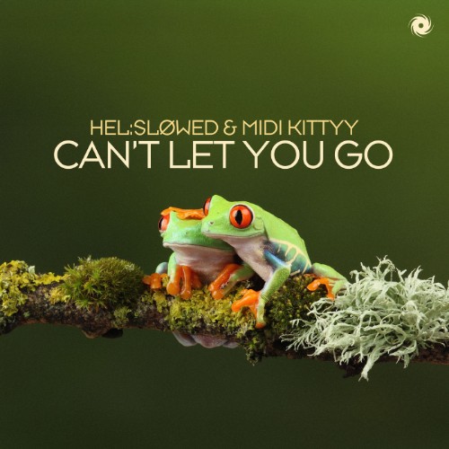 Hel:slowed & Midi Kittyy - Can't Let You Go (2026)