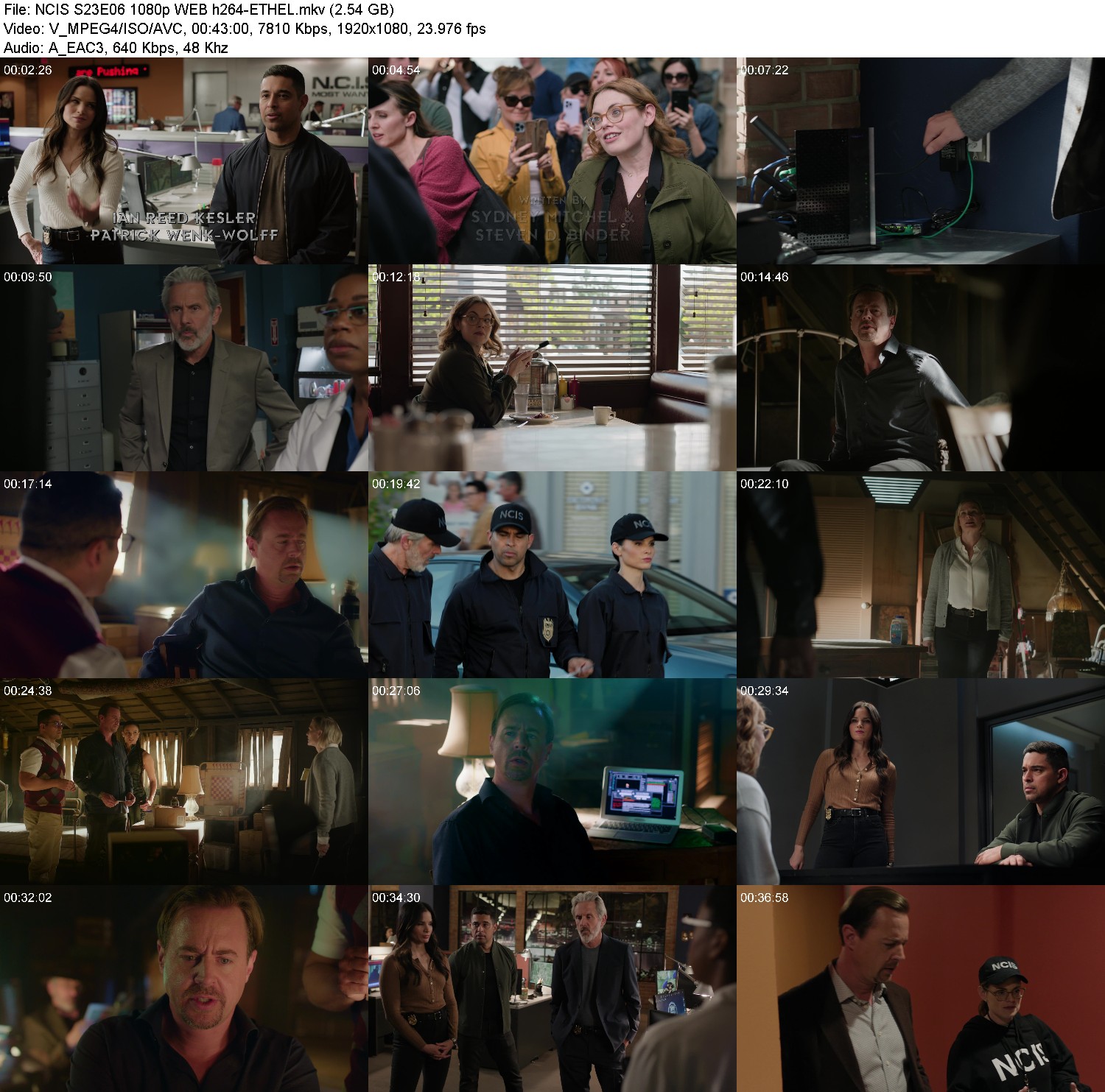 [Image: po2o2yt68buw.jpg]