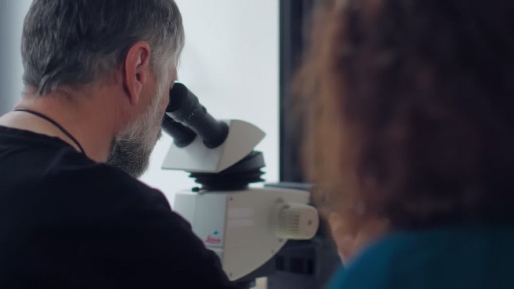 [Image: sw-27ntnl3b8c.jpg]