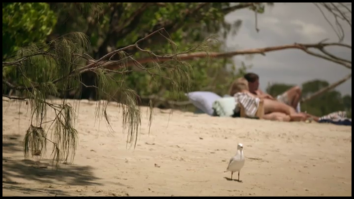 [Image: ovf8c3evm42t.png]