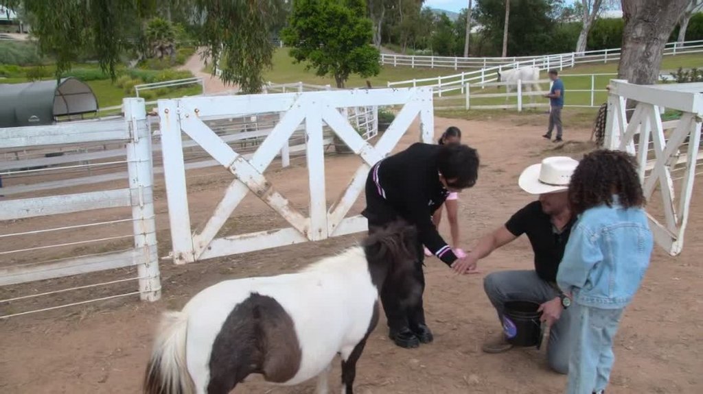 [Image: qr8f64kg8auc.jpg]