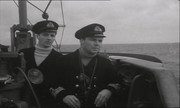 211135-980.jpg