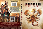 The Scorpion King / Kralj Skorpiona (2002 - 2018) Kolekcija 2018-10-24-5bd0b388a3add-The-Scorpion-King-Book-of-Souls-2018-r1-custom-dvdcover-com-950x638