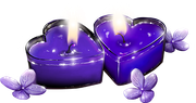 MVDLavender-Love-120