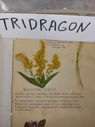 IMG_20250817_210802_524