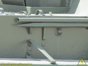 IMG-8302