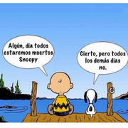 [Imagen: 38fbd7a70040635a237e2053faa36503.jpg]
