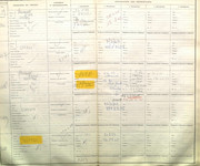 IMG-5492.jpg