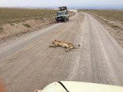 1F832815-F82C-4DFC-94B8-FA63C9EC1820