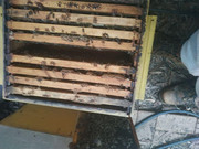 photo_2020-06-16_07-17-14