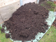 Erdproduktion und Zubereitung 2015  (101)