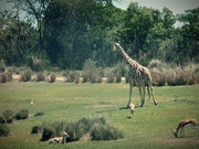 james-paterek-has-experience-with-raising-capital-in-the-financial-markets-newyork