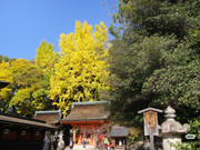 photo 21 2025 12 14 22 29 25