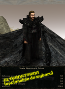 pancerze i ubrania (3)