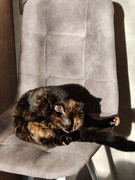 photo-2025-11-17-11-13-01