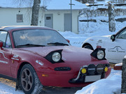 [Immagine: IMG_7318.jpg]