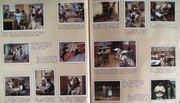 IMG-0019