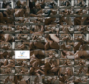 TS Taboo 04 - Cheating Wives 03