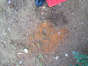 IMG-4987
