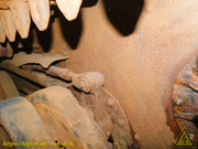 DSCN6545