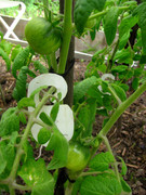 IMG-1023.jpg
