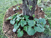 img-1780704092972