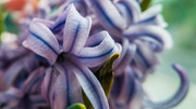 IMG-20190411-190916-(2)