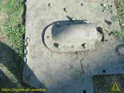 IMG-1710