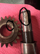 Image may have been reduced in size. Click image to view fullscreen.