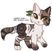 bicolor classic tabby