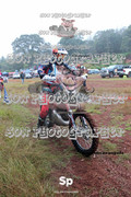 IMG-0159