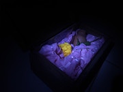 3.3.amiable reminder III