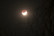 eclipse-jul-2019.jpg