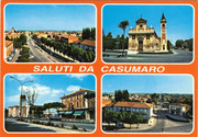 i.postimg.cc/CdHW6d8k/CCI-000495.jpg