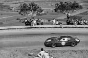 Targa Florio (Part 4) 1960 - 1969  - Page 13 1968-TF-208-013