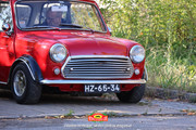 IMG-7474