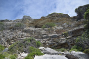DSC-0984