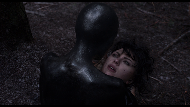 3 - Under The Skin (Estreno 2020) [BDRip 1080p] [Cast DTS/Ing AC3 5.1] [Sub:Cast] [C.Ficción] [2013]