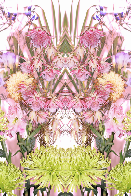 Shrimp Covered in Bridesmaid Flowers