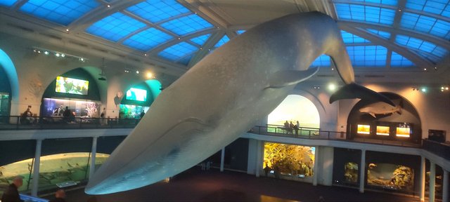 Vista icónica en Dumbo, bicis Central Park, Museo Historia y Little Italy - Nueva York y Cataratas del Niágara 2023 (29)