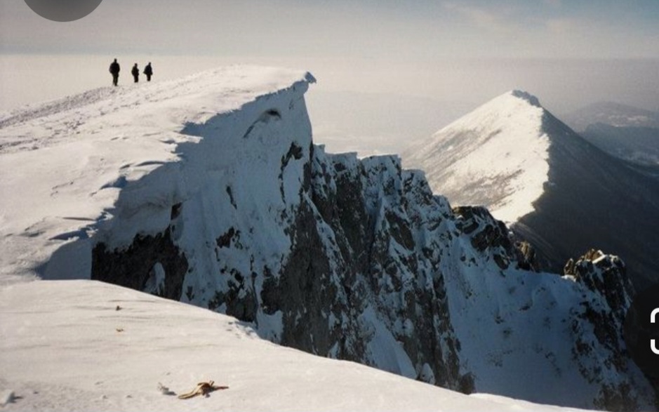 Screenshot_20231119_101253_Pinterest