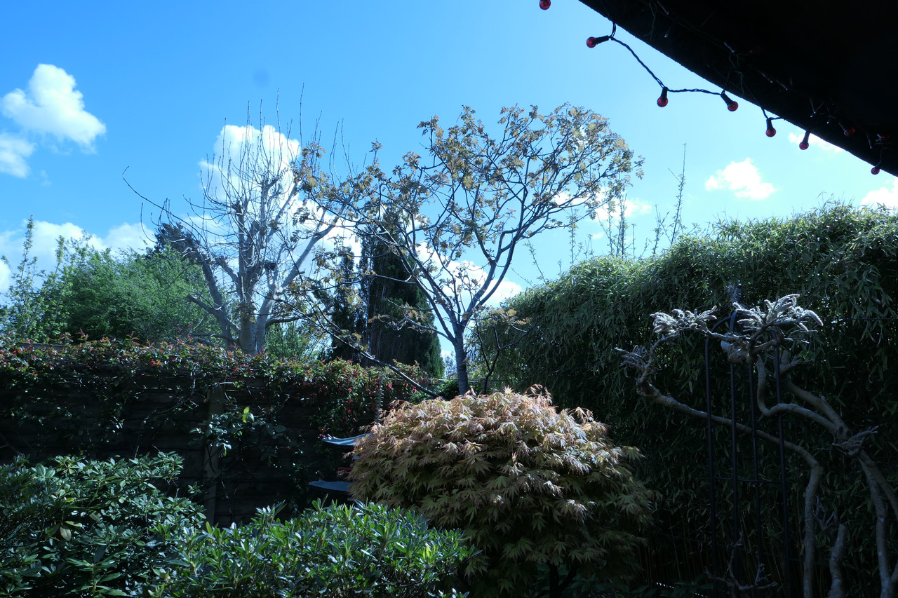 P1040354