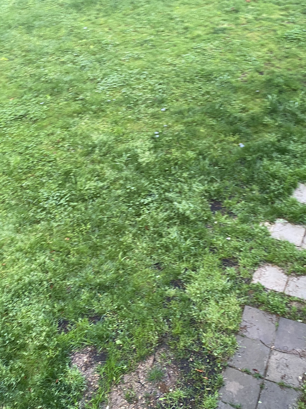 C8B42383-06C9-4F76-A2C6-AA433F31399E