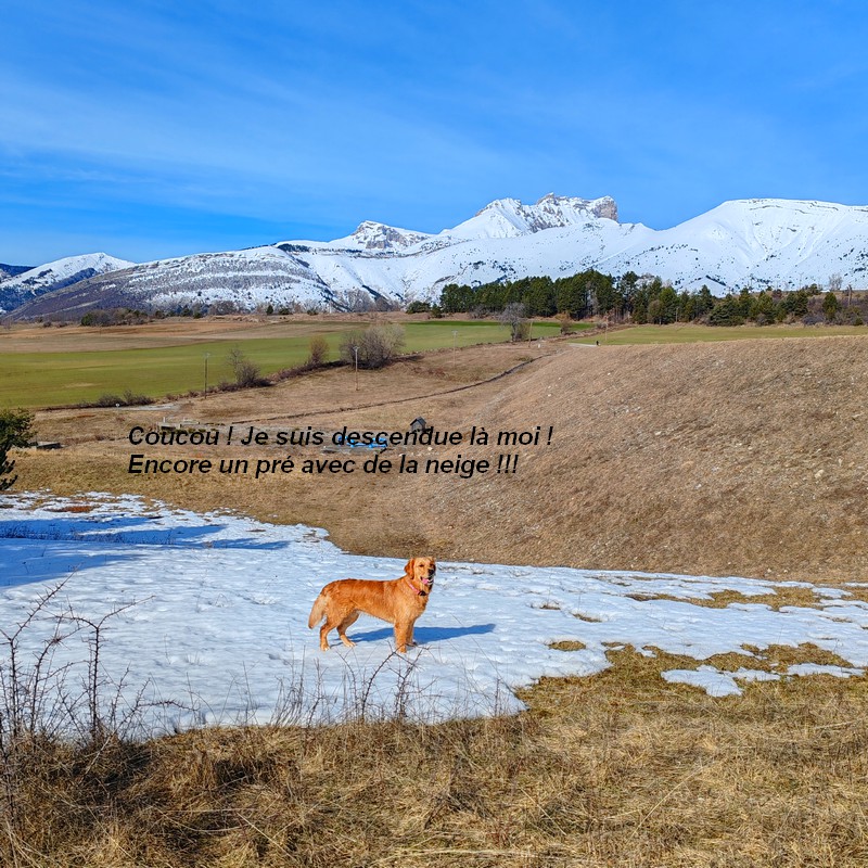 IMG-20260222-120251bb