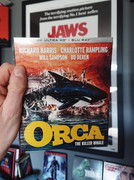 [Obrazek: 20250319-111656.jpg]