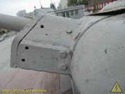 IMG-9735