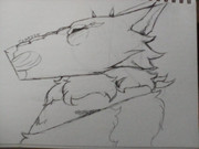 16261817374081041588062328311804