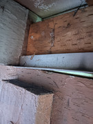 IMG-1644