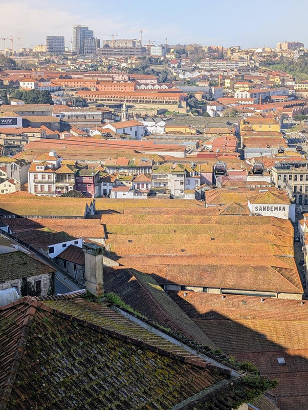 644441238 25576094575423505 2847312277180539100 n